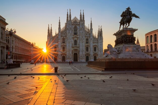 Get LSD in Milan