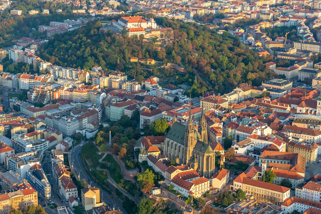 Get LSD in Graz